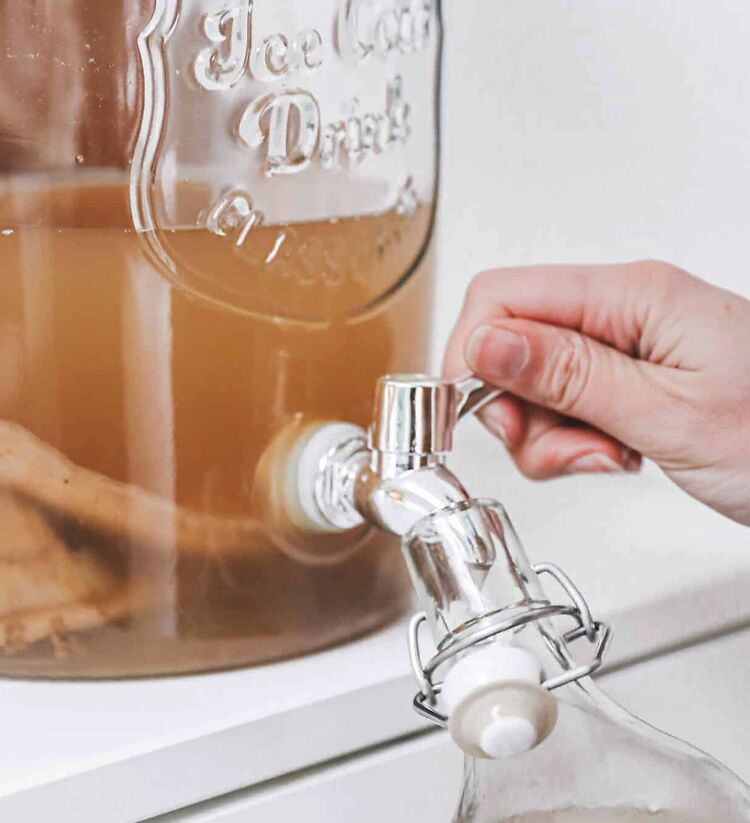Start to Kombucha