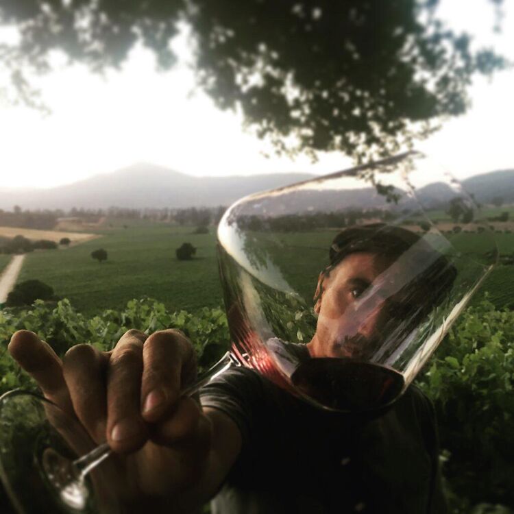 Cool Climate: frisheid in het glas